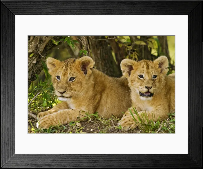 Framed Print : Picture No. 10899674 Framed Print : Picture No. 10899674