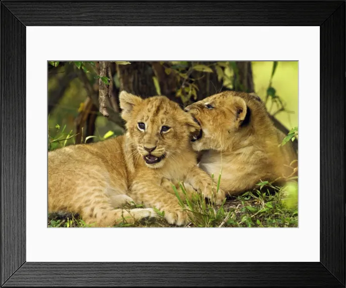 Framed Print : Picture No. 10899672 Framed Print : Picture No. 10899672