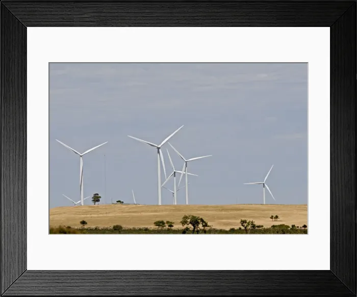 Framed Print : Picture No. 10878057 Framed Print : Picture No. 10878057