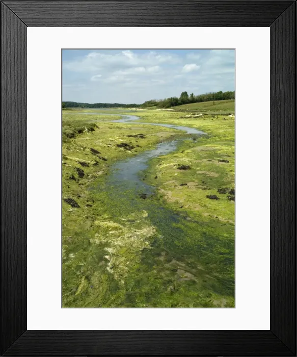 Framed Print : Picture No. 10878039 Framed Print : Picture No. 10878039