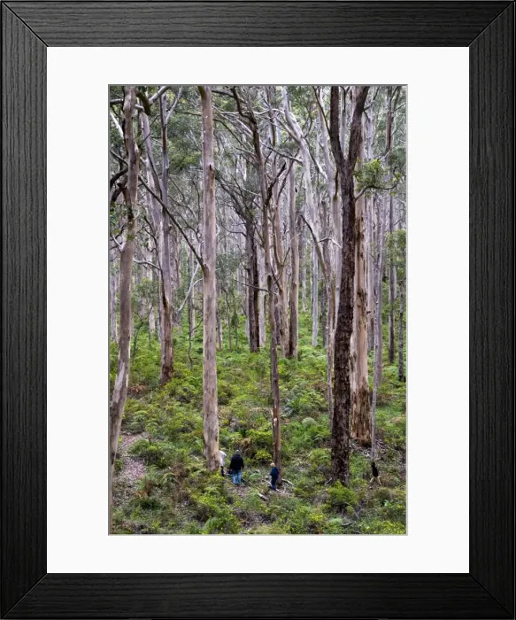 Framed Print : Picture No. 10878074 Framed Print : Picture No. 10878074
