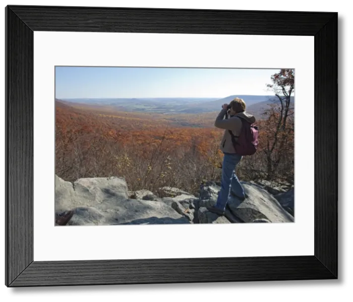 Framed Print : Picture No. 10878204 Framed Print : Picture No. 10878204