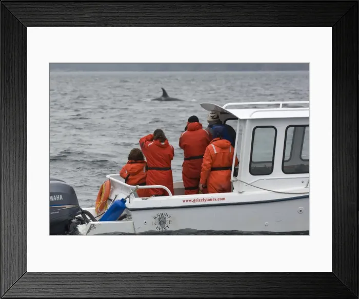 Framed Print : Picture No. 10878300 Framed Print : Picture No. 10878300