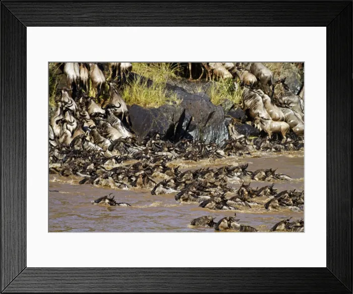 Framed Print : Picture No. 10899702 Framed Print : Picture No. 10899702