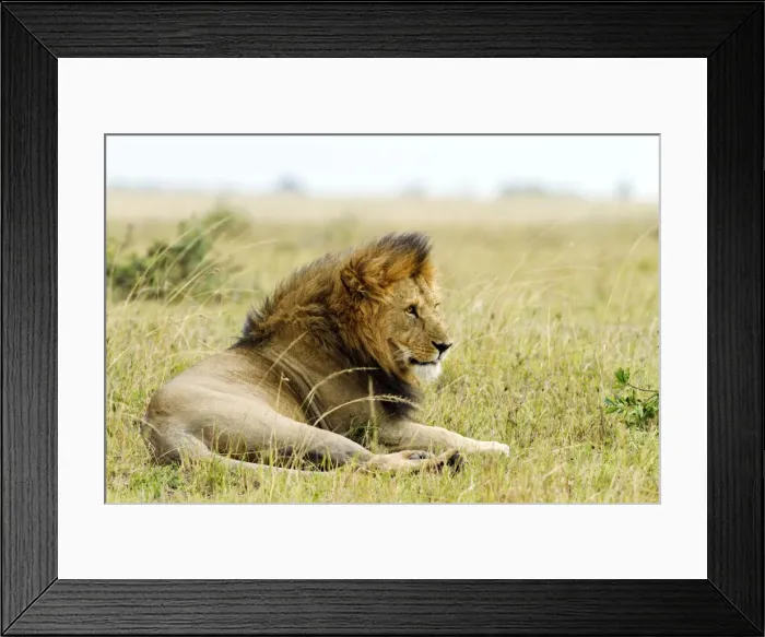Framed Print : Picture No. 10899706 Framed Print : Picture No. 10899706