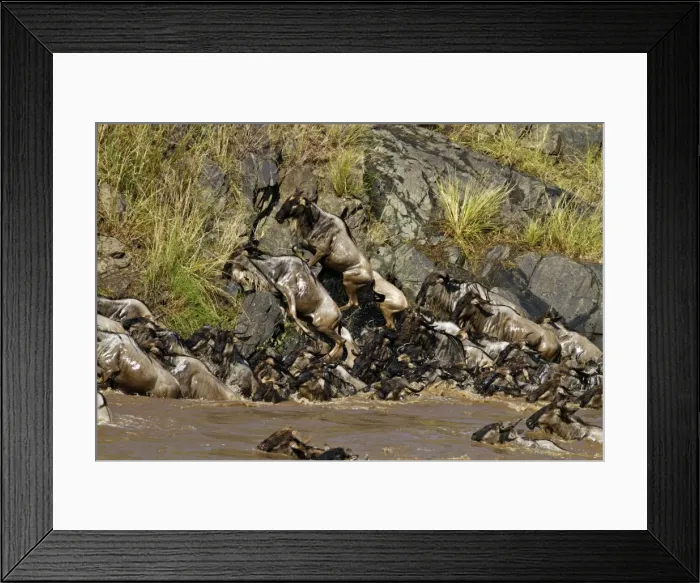 Framed Print : Picture No. 10899701 Framed Print : Picture No. 10899701