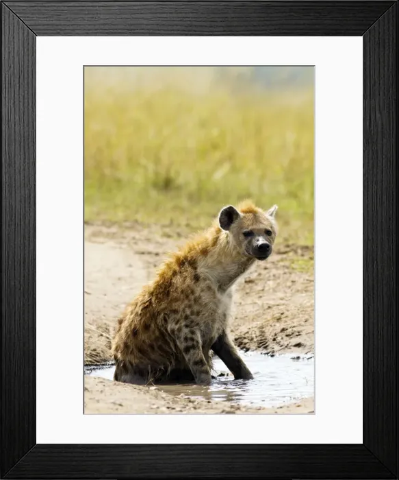 Framed Print : Picture No. 10899712 Framed Print : Picture No. 10899712