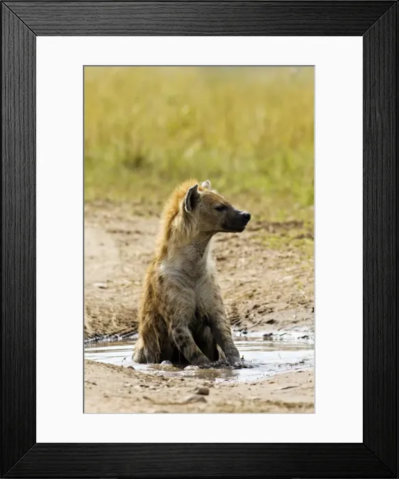Framed Print : Picture No. 10899713 Framed Print : Picture No. 10899713