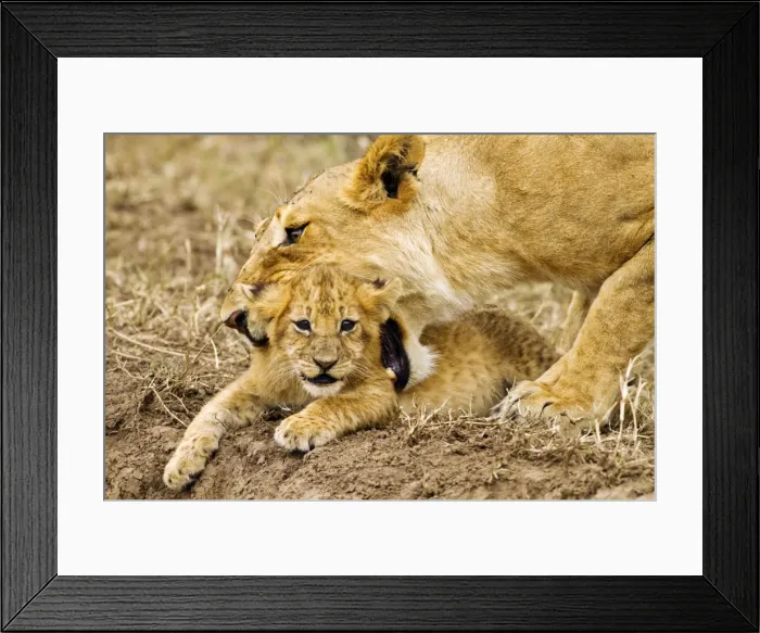 Framed Print : Picture No. 10899731 Framed Print : Picture No. 10899731