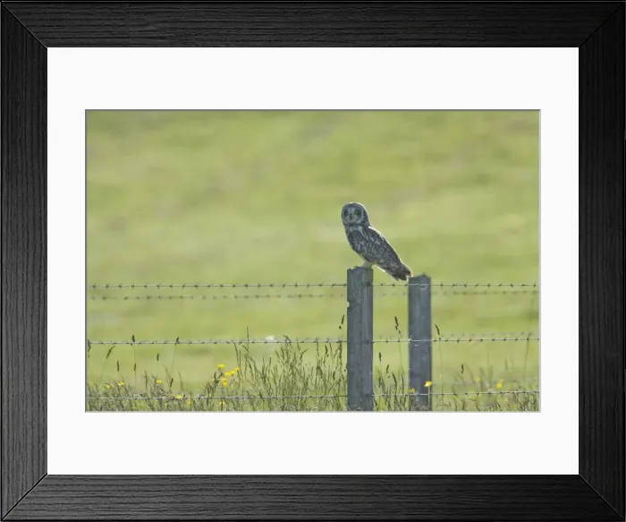 Framed Print : Picture No. 10883258 Framed Print : Picture No. 10883258