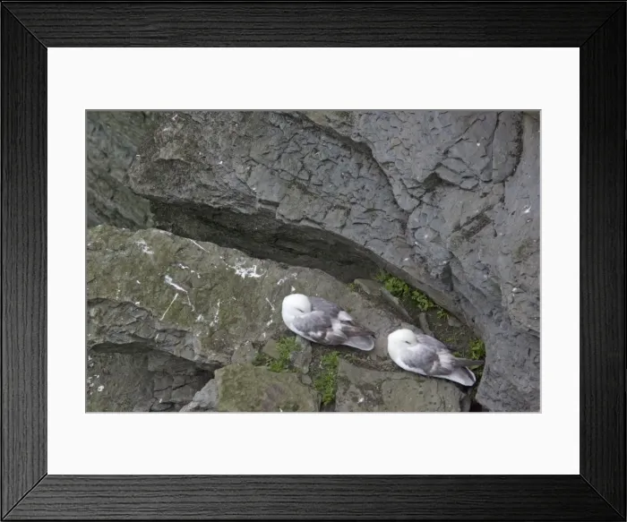 Framed Print : Picture No. 10883253 Framed Print : Picture No. 10883253