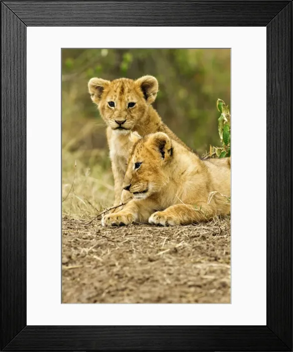 Framed Print : Picture No. 10899735 Framed Print : Picture No. 10899735