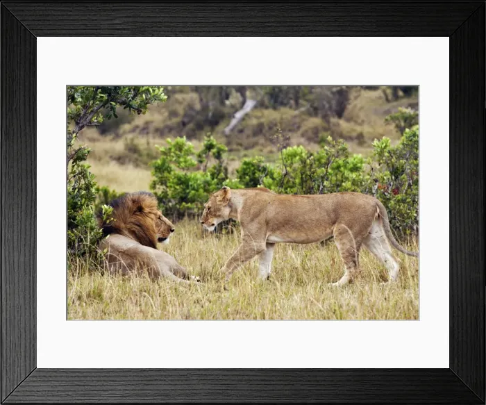 Framed Print : Picture No. 10899759 Framed Print : Picture No. 10899759