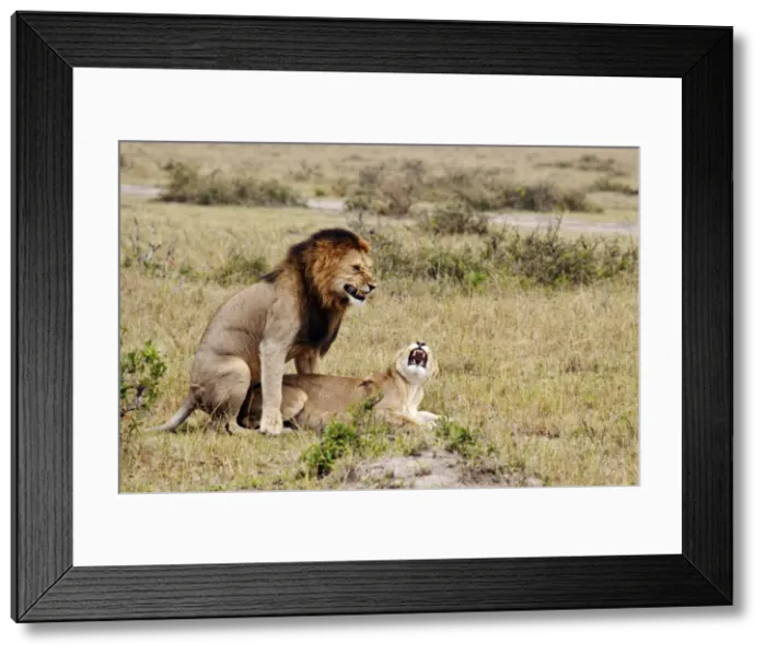 Framed Print : Picture No. 10899755 Framed Print : Picture No. 10899755
