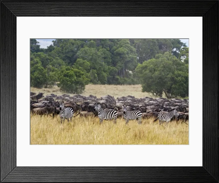 Framed Print : Picture No. 10899762 Framed Print : Picture No. 10899762