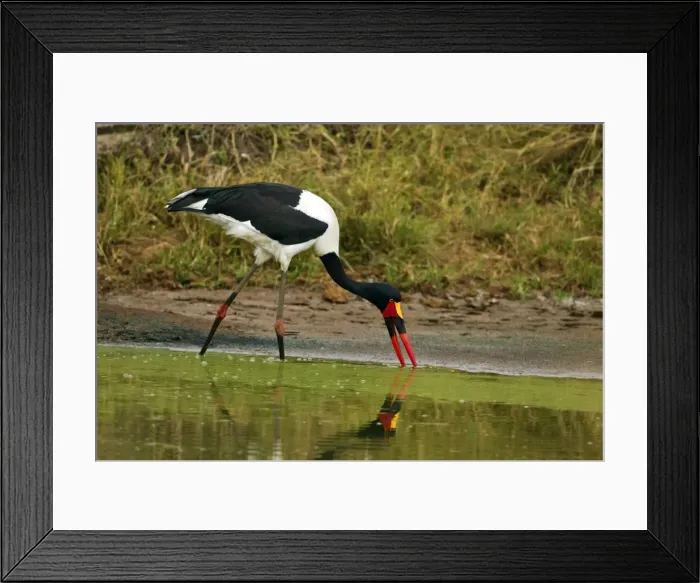 Framed Print : Picture No. 10899774 Framed Print : Picture No. 10899774