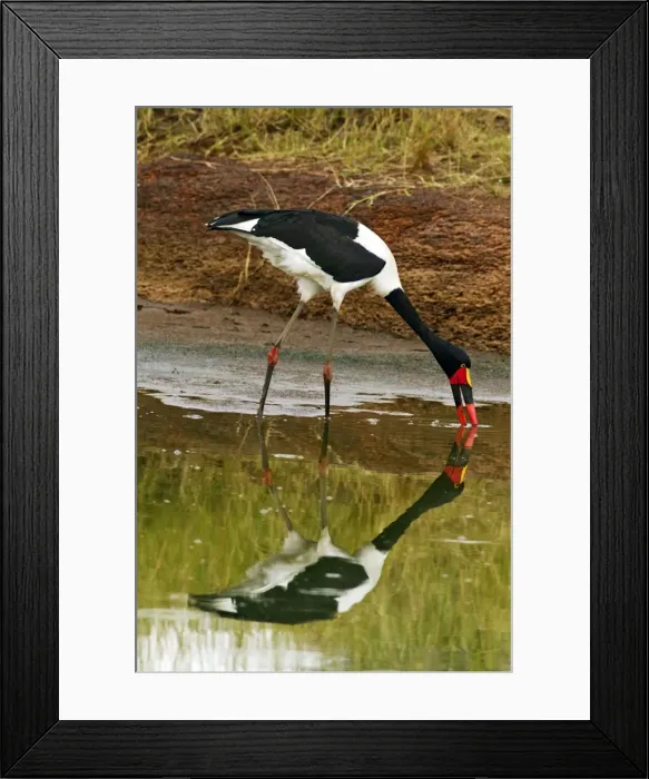 Framed Print : Picture No. 10899772 Framed Print : Picture No. 10899772