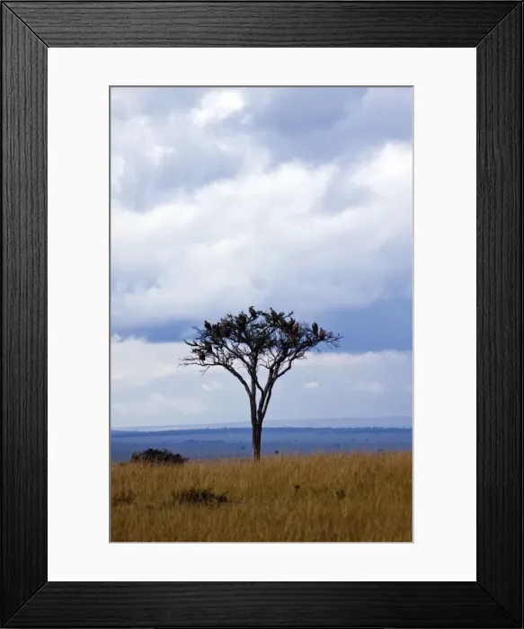 Framed Print : Picture No. 10899782 Framed Print : Picture No. 10899782