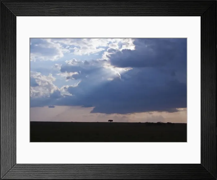 Framed Print : Picture No. 10899783