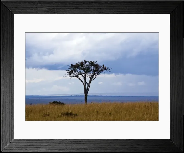 Framed Print : Picture No. 10899781 Framed Print : Picture No. 10899781