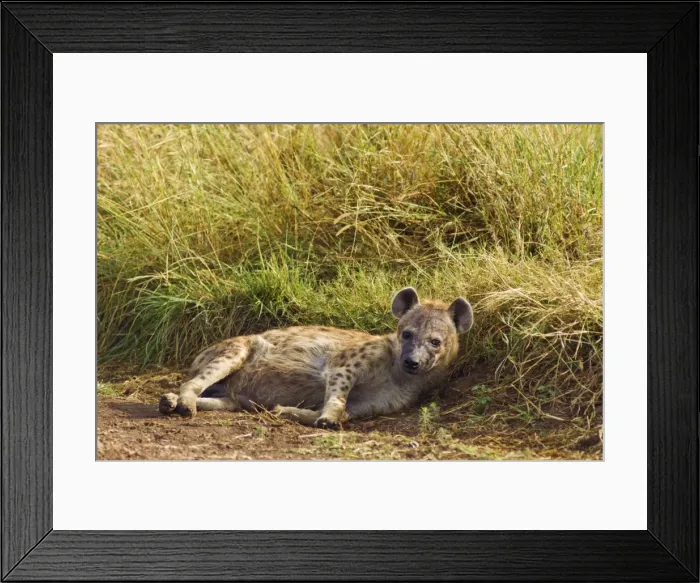 Framed Print : Picture No. 10899787 Framed Print : Picture No. 10899787