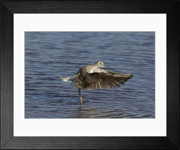 Framed Print : Picture No. 10899805 Framed Print : Picture No. 10899805