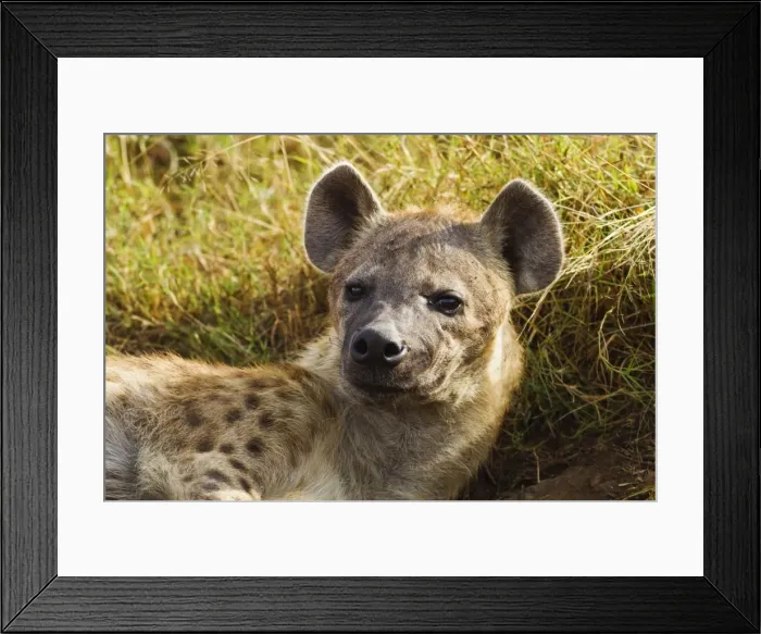 Framed Print : Picture No. 10899785 Framed Print : Picture No. 10899785