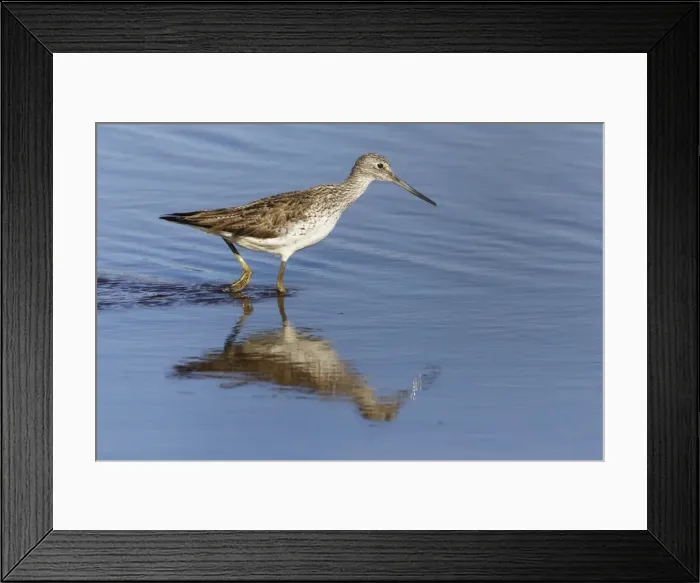 Framed Print : Picture No. 10899806 Framed Print : Picture No. 10899806