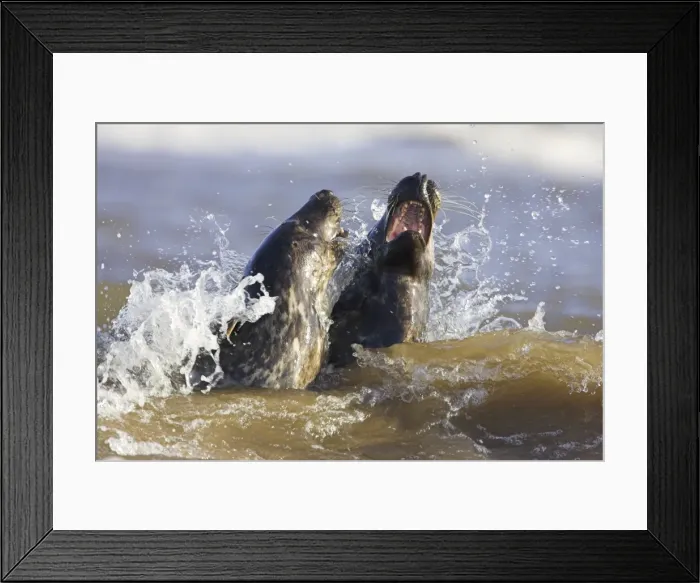 Framed Print : Picture No. 10899788 Framed Print : Picture No. 10899788