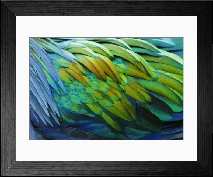 Framed Print : Picture No. 10899826 Framed Print : Picture No. 10899826