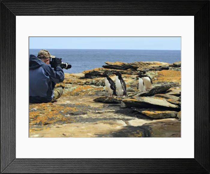 Framed Print : Picture No. 10884745 Framed Print : Picture No. 10884745