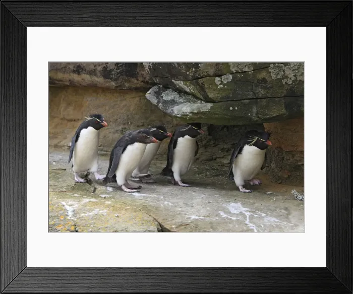 Framed Print : Picture No. 10884744 Framed Print : Picture No. 10884744