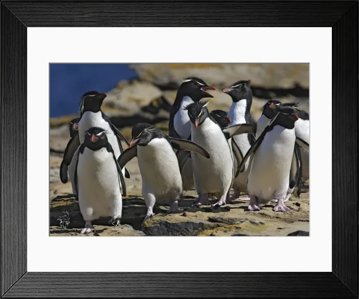 Framed Print : Picture No. 10884768 Framed Print : Picture No. 10884768