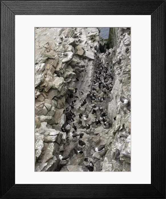 Framed Print : Picture No. 10884794 Framed Print : Picture No. 10884794