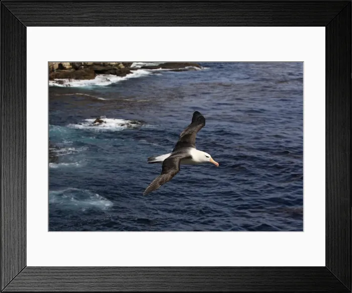 Framed Print : Picture No. 10884804 Framed Print : Picture No. 10884804