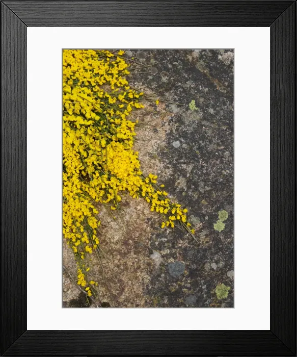 Framed Print : Picture No. 10899864 Framed Print : Picture No. 10899864