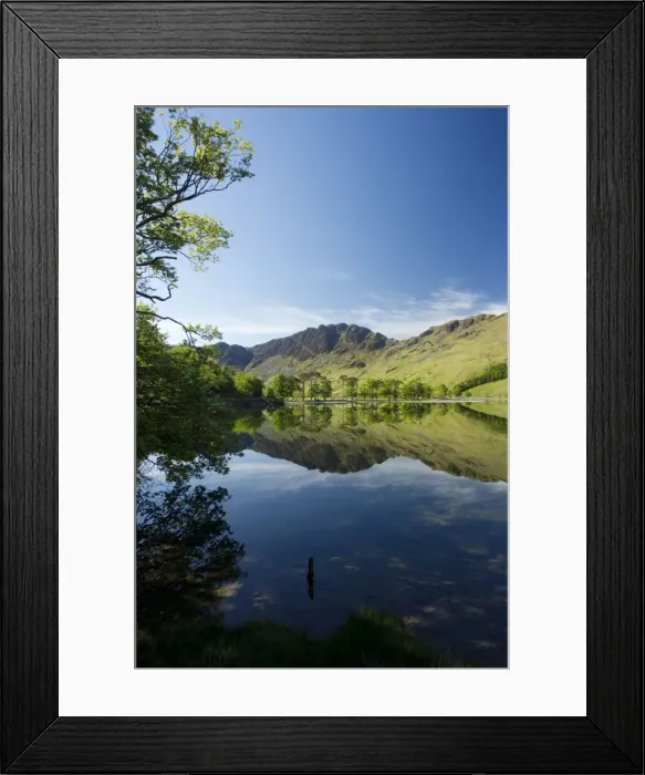 Framed Print : Picture No. 10899869 Framed Print : Picture No. 10899869