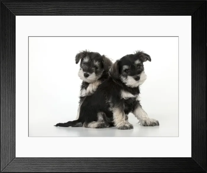 Framed Print : Picture No. 10899948 Framed Print : Picture No. 10899948