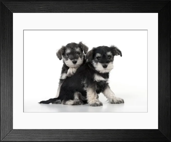 Framed Print : Picture No. 10899947 Framed Print : Picture No. 10899947