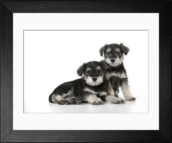 Framed Print : Picture No. 10899949 Framed Print : Picture No. 10899949