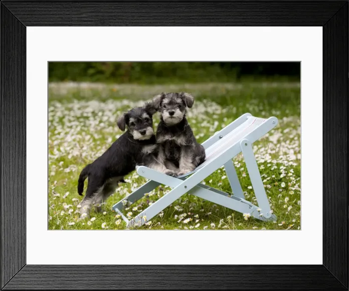 Framed Print : Picture No. 10899968 Framed Print : Picture No. 10899968