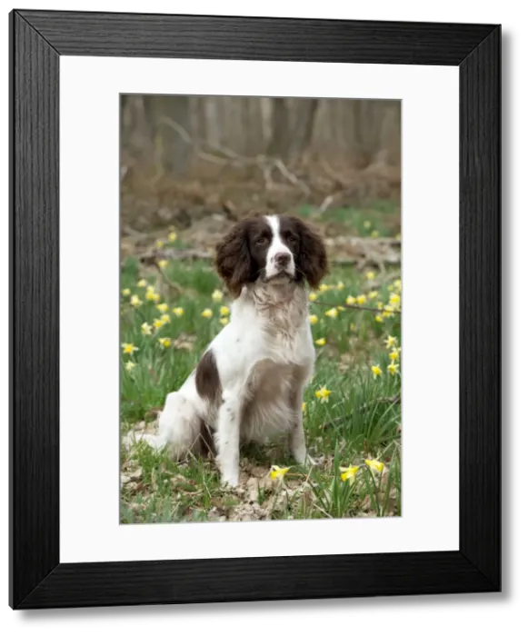 Framed Print : Picture No. 10899987 Framed Print : Picture No. 10899987