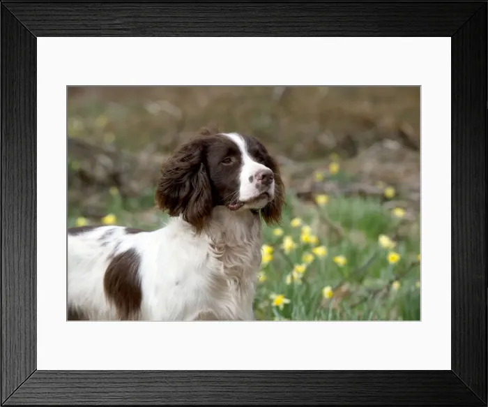 Framed Print : Picture No. 10899989 Framed Print : Picture No. 10899989