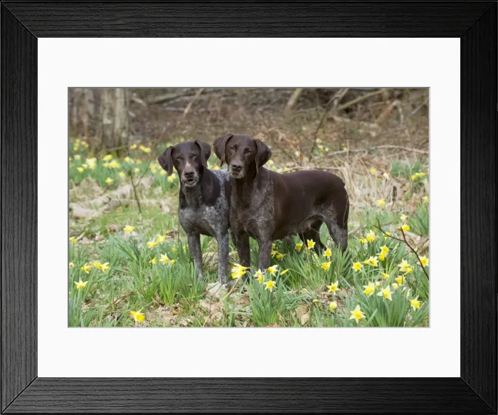 Framed Print : Picture No. 10899997