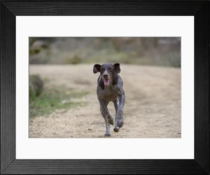 Framed Print : Picture No. 10899994 Framed Print : Picture No. 10899994