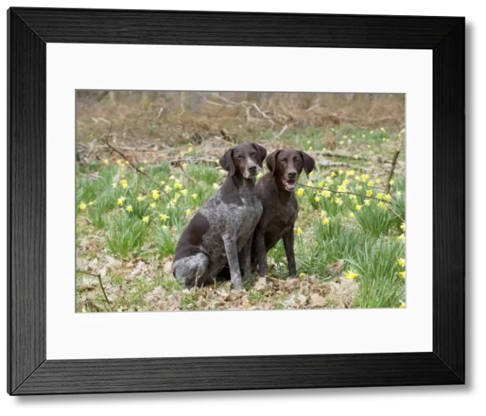 Framed Print : Picture No. 10899996