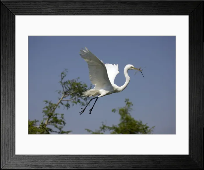 Framed Print : Picture No. 10885997 Framed Print : Picture No. 10885997