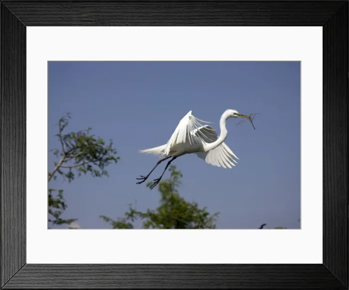 Framed Print : Picture No. 10885998 Framed Print : Picture No. 10885998