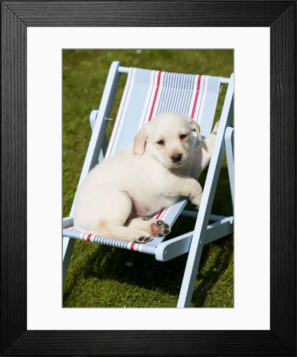 Framed Print : Picture No. 10900028
