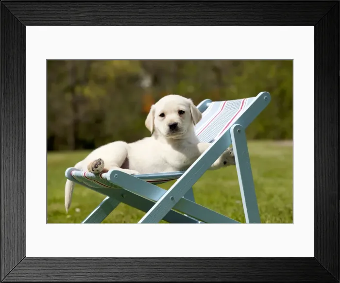 Framed Print : Picture No. 10900027 Framed Print : Picture No. 10900027